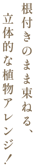 根付きのまま束ねる、立体的な植物アレンジ！